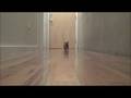 Riley S First Video