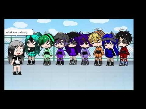 Let me introdos the luna family