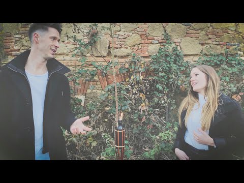 Die Draufgänger - Heast as net - WeihnachtsCoverei