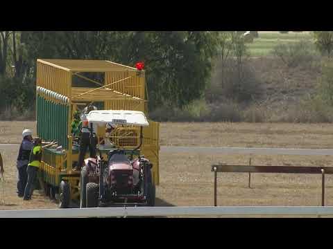 Hallside Fandango - Gatton Race 3