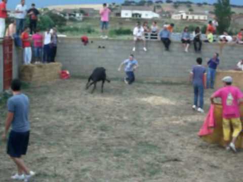 vaquillas de villalba de los llanos 2010 (polvorete)