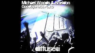 Video Goodbye (Audio) de Michael Woods