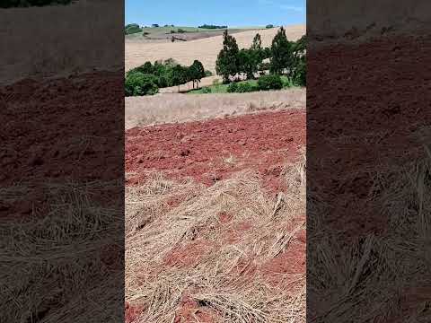 Minha terra natal o famoso pilão velho em turvo PR moçada !!!