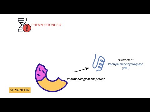 How Sepiapterin Treats Phenylketonuria (PKU) | Pharmacology Explained