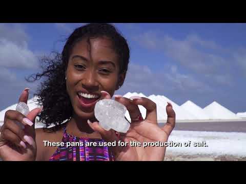 This Is Our Island — This Is Bonaire!