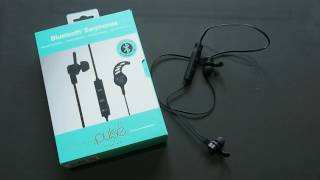 Pluse Bluetooth Earphones von Action für 9,95€ geht das ?