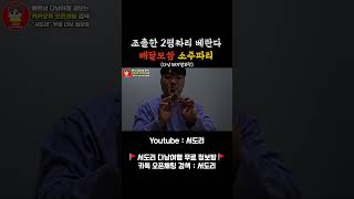 베트남 다낭 배달보쌈 돼지꼬리 소주파티 (다낭 돼지발꼬락)