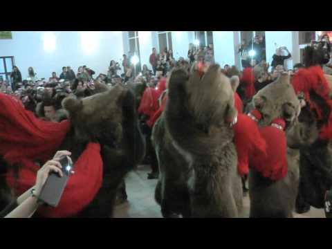 Ursii la CT „D  Ghika”