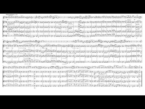 "Jägers Liebeslied" (D.909 Op. 96 No. 2) for Flute & Strings