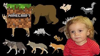 Kids Picture Show meets Minecraft - Oskar&#39;s Review