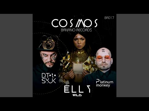 Cosmos (D.Tarasyuk, Platinum Monkey Radio Mix)