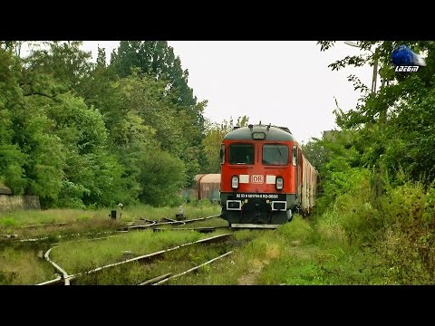 DA 60-1704-5 cu Marfar DB Schenker/with DB Schenker Freight Train Alesd - Livada in Oradea