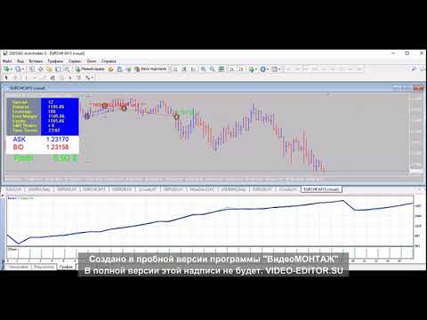 Video Night Bollinger