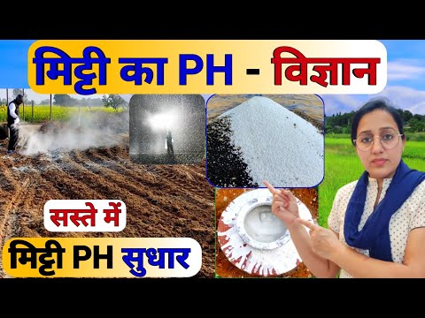 मिट्टी के PH मान में सुधार | Soil ph | Acidic Soil | खेती में चूने का सही प्रयोग | Limestone uses