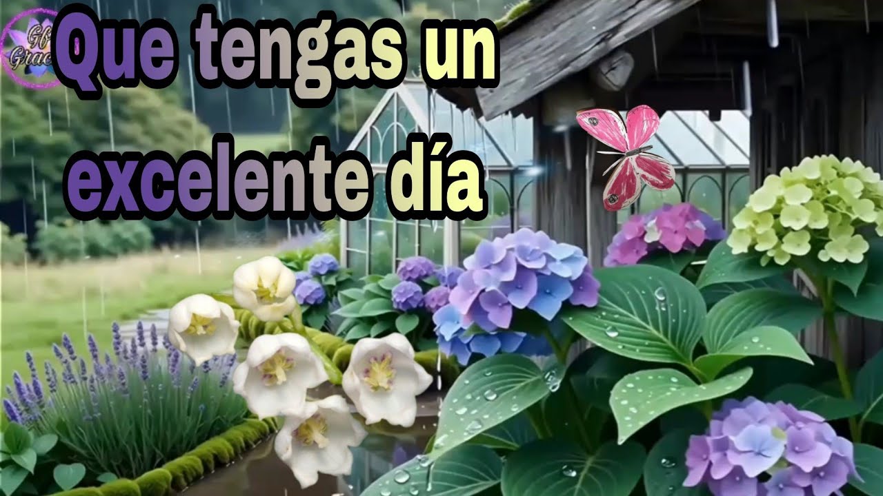 ✨️☘️BUENOS DÍAS 🤗 