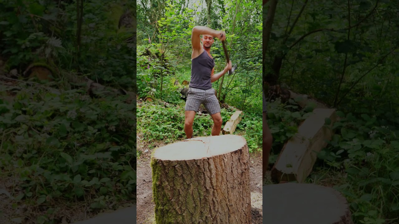 Biggest Oak Trunk Split yet satisfying lumberjack split