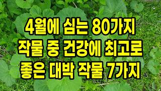 4월에 심는 80가지 작물 중 건강에 최고로 좋은 대박 작물 7가지