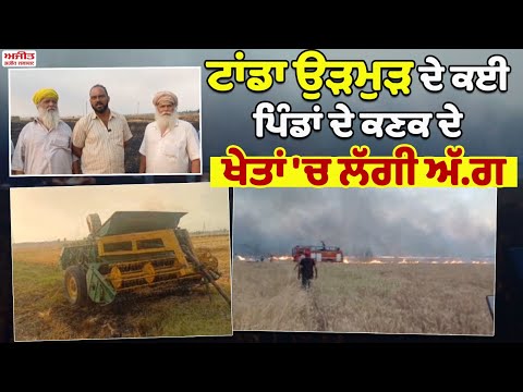 ਟਾਂਡਾ ਉੜਮੁੜ ਦੇ ਕਈ ਪਿੰਡਾਂ ਦੇ ਕਣਕ ਦੇ ਖੇਤਾਂ 'ਚ ਲੱਗੀ ਅੱਗ 