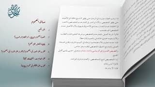 صورة معاقد الأُصُول – شرح مختصر الروضة 55