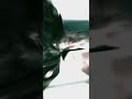 Ragnar Sons Avenge RAGNAR Best Whatsapp Status Ragnar Vikings Ragnar Ivar Shorts Fullscreen