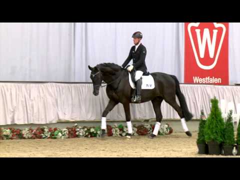 07 Stresemann  Wallach v.  Stoiber SN - Fürst Heinrich