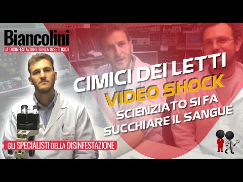 Da vermi per galli del tacchino Medicina da vermi per nutrizione