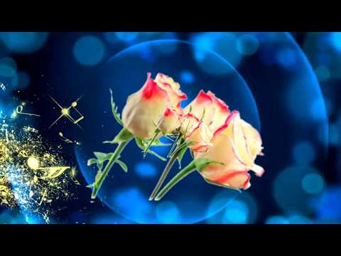 Christian König - Du hast geweint