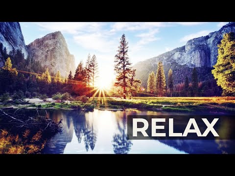 Birds Singing on the Lakeshore and Water Sounds - Relaxing Nature Sounds - Mountain Lake Ambience