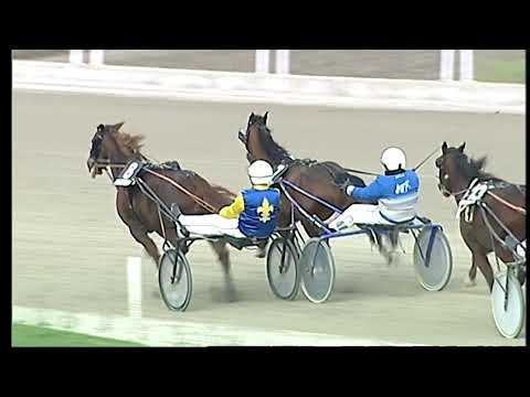 Trotto 27/12/2020 - 5ª corsa