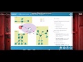 CISCO CCNA 1 DERS 3