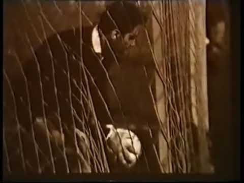 ECCC 19591960 CDNA Sofia   Barcelona 2 2 03091959SD,640x4801