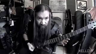 Primus - &quot;Too Many Puppies&quot; (Bass Cover)