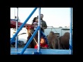 Circus 2011