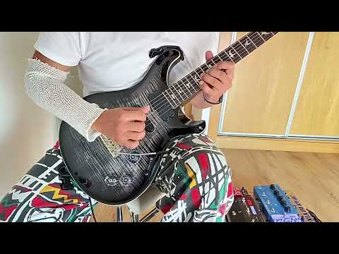 PRS 509 2022 - Charcoal Burst image 8
