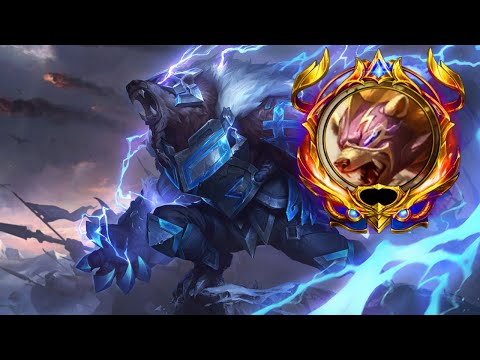 VOLIBEAR MONTAGE 2020 - BEST VOLIBEAR PLAYS