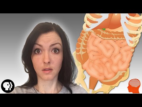 知らなかった！腸が「第二の脳」といわれる理由