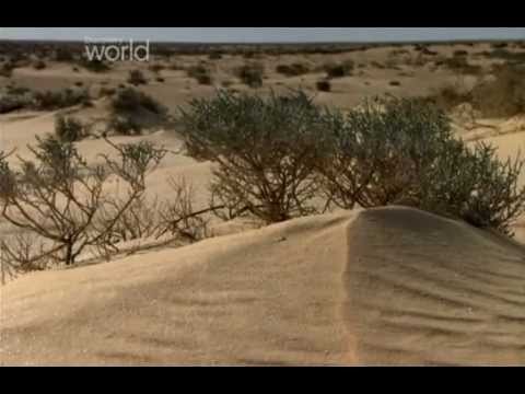 Czołgi i ludzie 03 Bitwy Pod El Alamein.avi