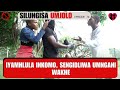 Iyamhlula Inkomo Sengidliwa Umngani Wakhe SILUNGISA UMJOLO Episode 74