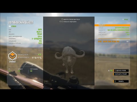 thehunter call of the wild pc crashes on startup thehunter call of the wild pc crashes on startup