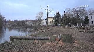 Uusi hulevesien ylivuotoallas Weissenfelsiin - TV-raportti, jossa asukkaat ja Andreas Dittmann haastattelivat puiden kaatamista, joka oli tarpeen RÜB:n rakentamiseksi.