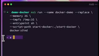 run docker in microsandbox