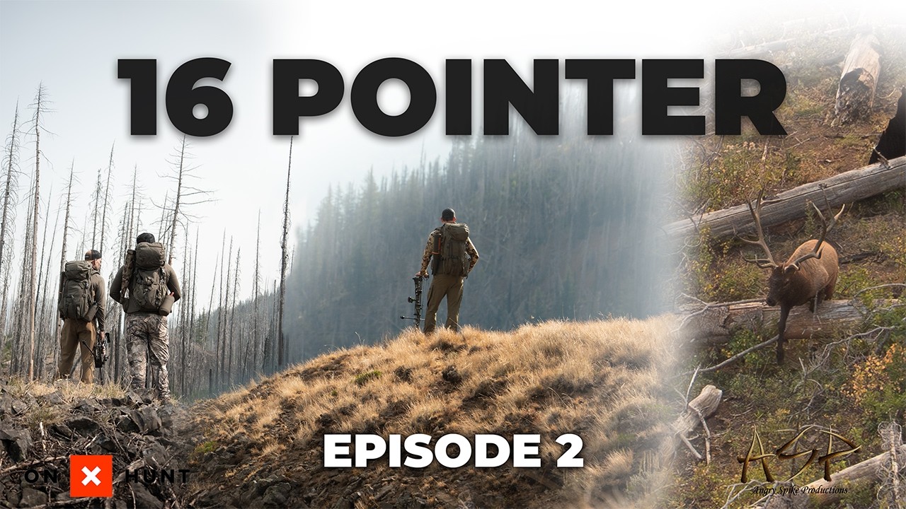 16 POINTER -  EP 2 - A Quality Elk Hunt in WA State