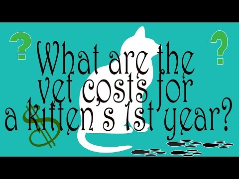 Just Facts: Basic Kitten First Year Vet Costs
