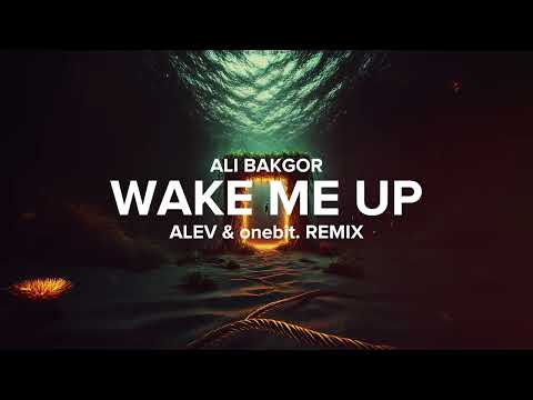 Ali Bakgor - Wake Me Up (ALEV & onebit. Remix)