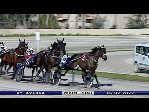 Aversa trotto 16 Febbraio 2022 - 2° Corsa