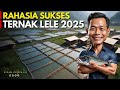 RATUSAN JUTA PERBULAN DARI BUDIDAYA IKAN LELE TERNYATA INI RAHASIANYA KISAH INSPIRATIF