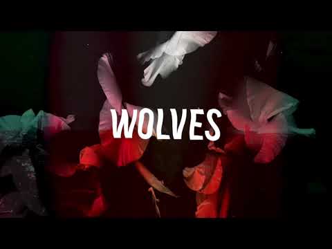 Bearcubs - Wolves