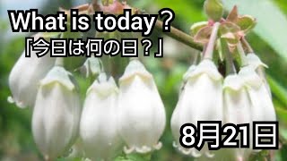 【What is today?】今日は何の日?(0821)|YouTube掲示板《ヒントストック》