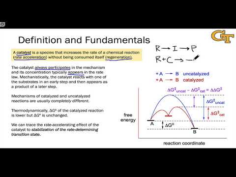 01.01 Fundamentals of Catalysis