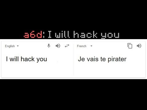 So I used Google Translator to talk to this French Server Owner... (BANNED)